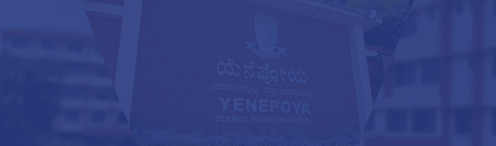 Yenepoya Ayurveda College