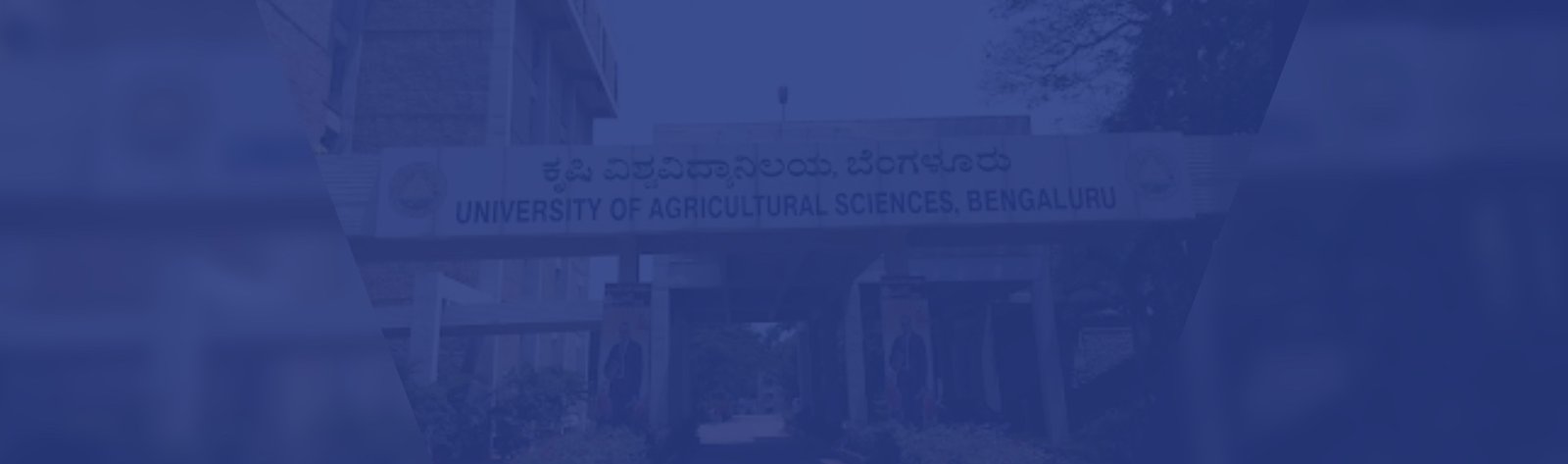 University of Agricultural Sciences